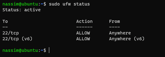 ufw firewall status