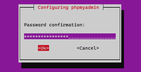 confirm password for phpMyAdmin