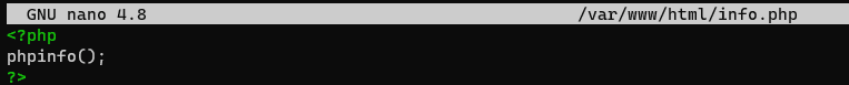 write php info code in nano